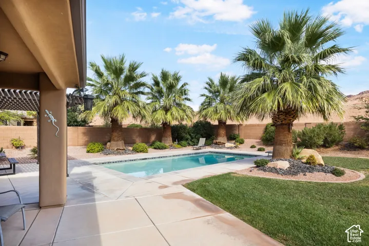Outdoor swimming pool with integrated concrete patio, surrounded by manicured lawn and mature palm trees