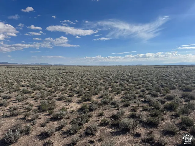Expansive desert landscape with scattered low-lying vegetation