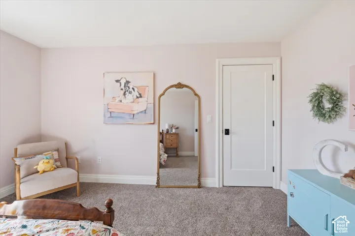 Wall-to-wall carpeting, light-toned walls, and a white interior door with black hardware