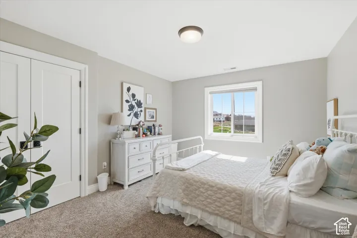 White paneled doors, neutral wall paint, carpeted flooring, and a single window with white trim