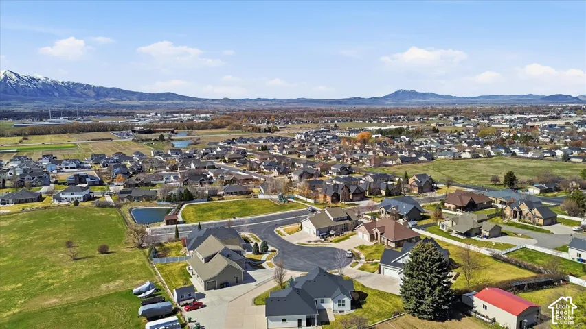 Aerial perspective of a residential community featuring varied architectural styles and mature landscaping