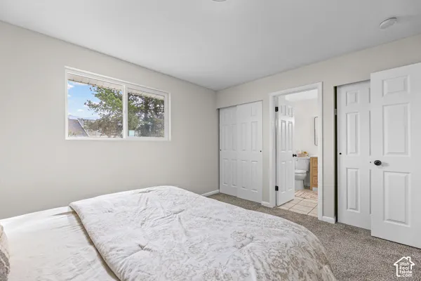 Light gray walls featuring a window, carpeted flooring, and white paneled doors