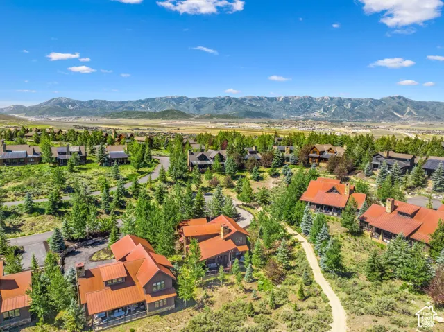 Aerial view showcasing a residential community nestled among mature evergreen trees, with multiple residences featuring distinctive orange metal roofing and dark exterior siding
