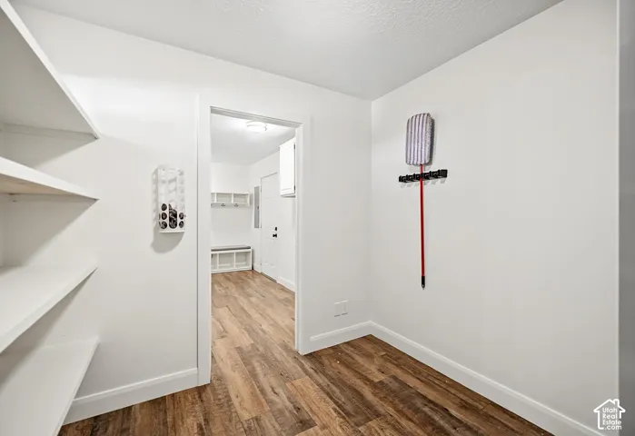 Bright hallway featuring wood-finish flooring, white walls, and abundant natural light from the entry