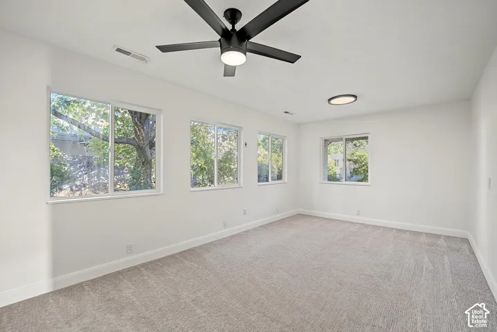 Neutral-toned carpeting, white walls, and multiple windows