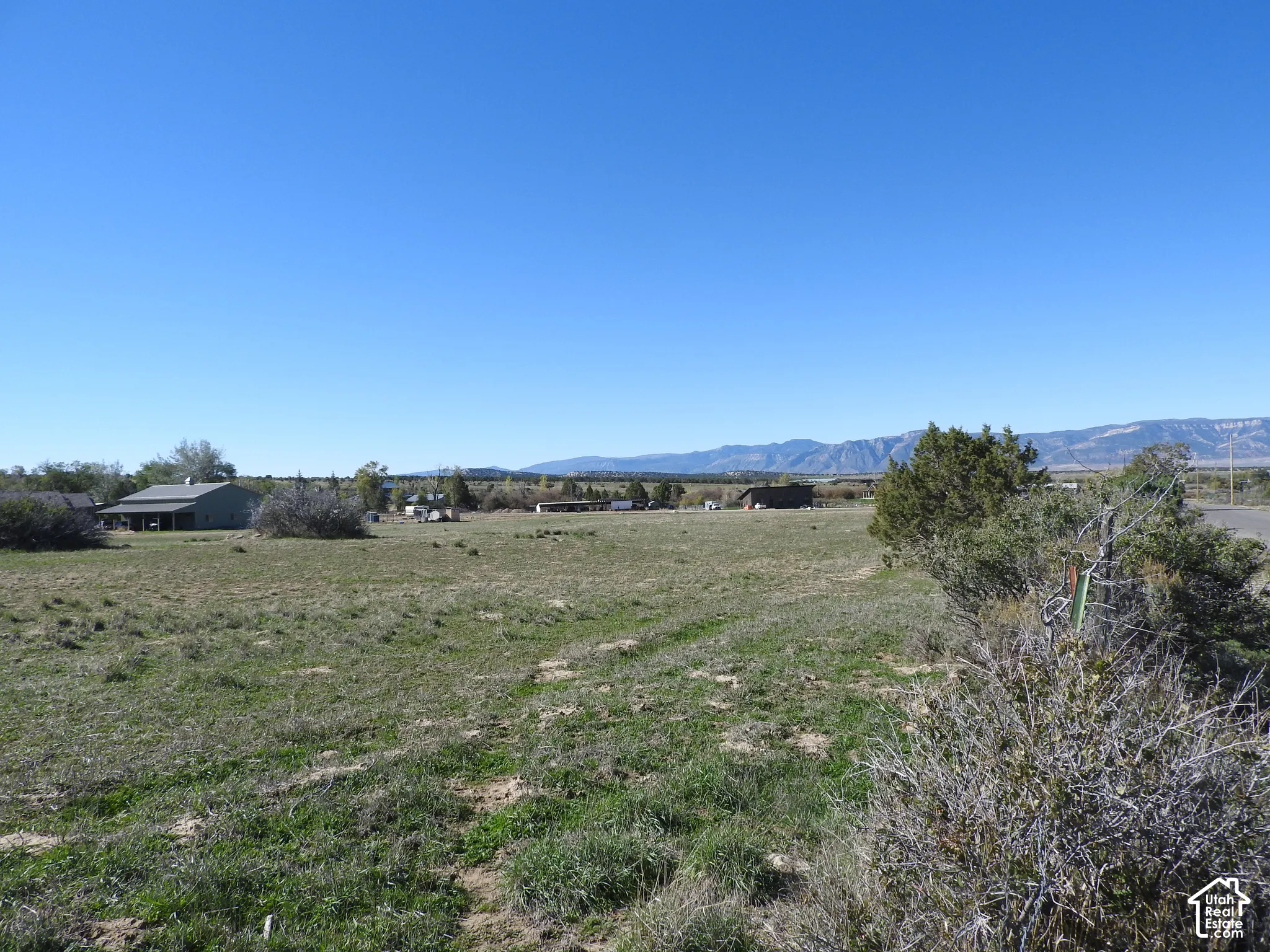 Expansive open land parcel featuring native vegetation, mature trees, and prominent mountain backdrops