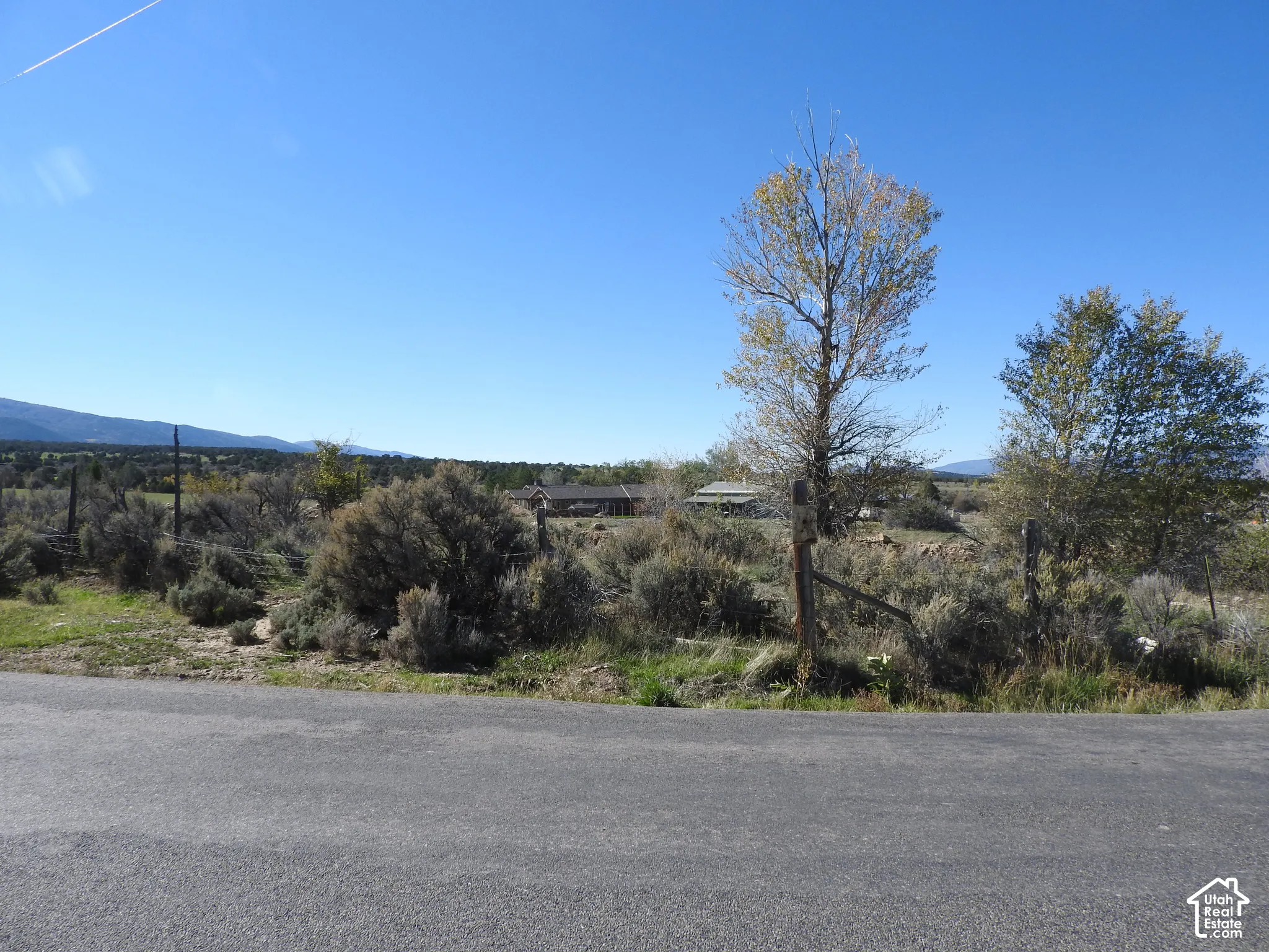 Expansive parcel featuring native desert vegetation, mature trees, mountain backdrops, and perimeter fencing