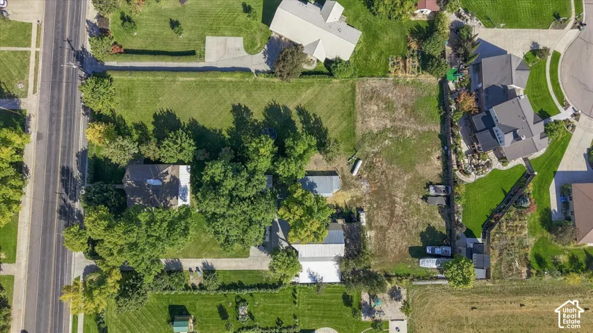 Expansive property featuring a mix of mature trees, open green spaces, and a paved street frontage