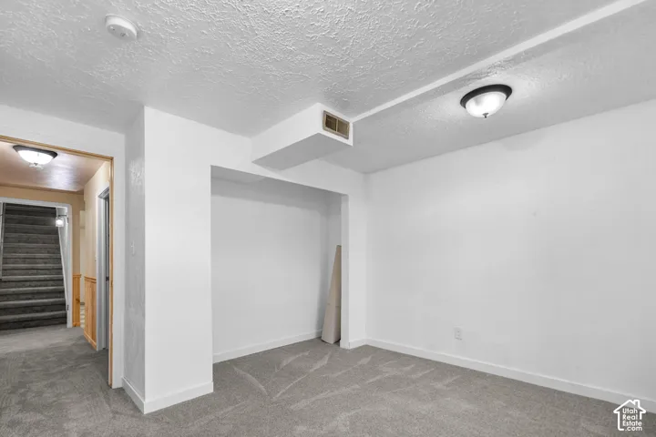 Carpeted flooring, painted walls, overhead lighting, and white trim