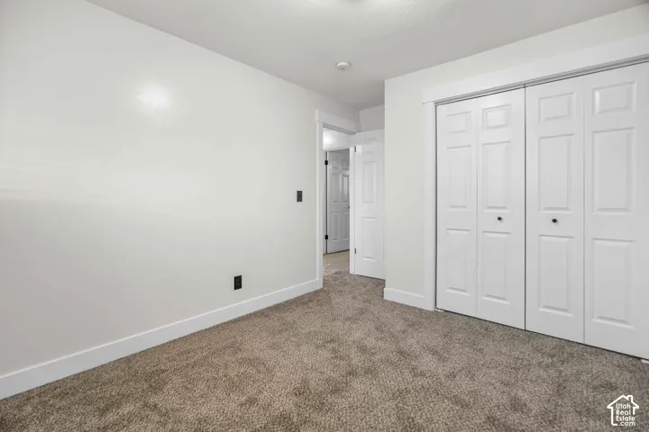 Plush carpeting, white walls, and bright white trim