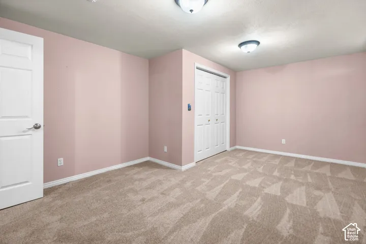 Neutral-toned carpet flooring, a white two-panel interior door, and white bi-fold closet doors