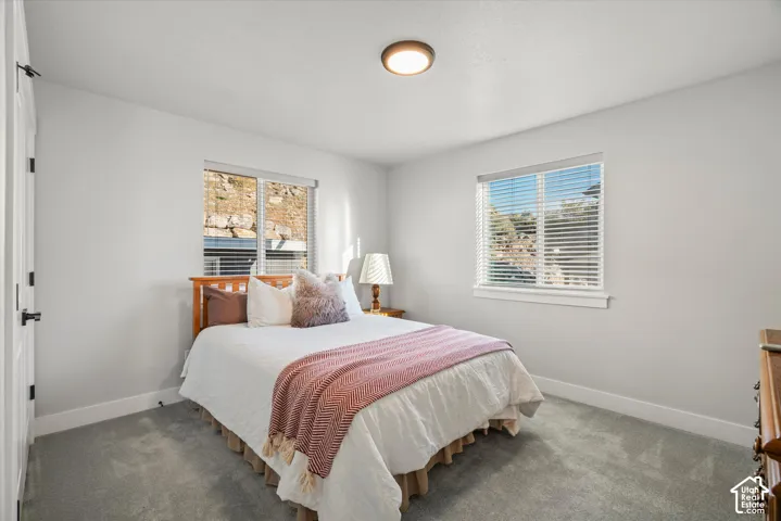 Plush grey carpeting, two large windows with blinds, and white walls