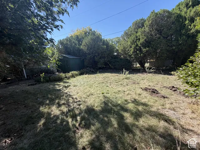 Expansive backyard featuring a green metal shed and mature perimeter trees