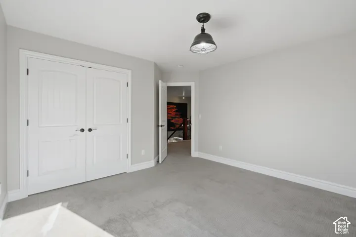 Neutral-toned interior space featuring wall-to-wall carpeting, dual-panel closet doors, and an industrial-style dome light fixture