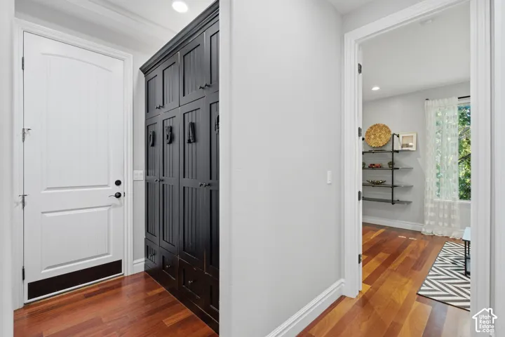 Entryway featuring wood-finish flooring, custom black built-in storage cabinetry with integrated hardware, and a solid-core paneled entry door