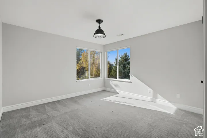 Neutral-toned interior space featuring gray carpeting, dual-aspect windows, and a matte black industrial-style pendant light fixture
