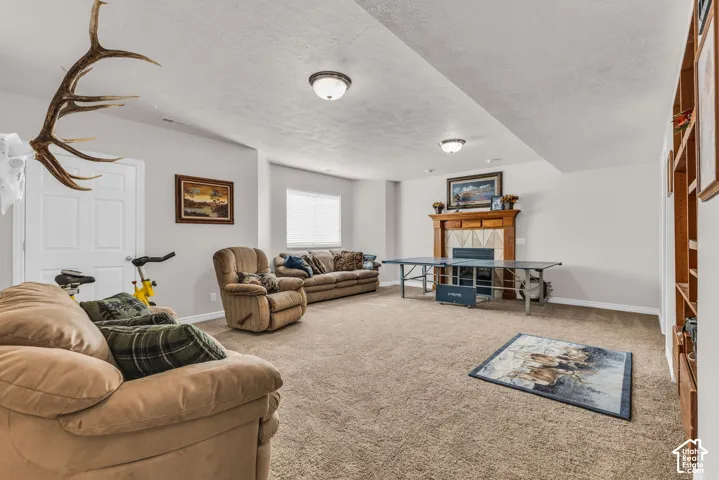 Basement Family Room