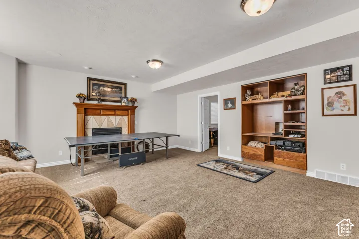 Basement Family Room