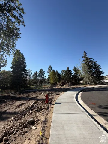 Paved sidewalk with curb, adjacent to an asphalt road