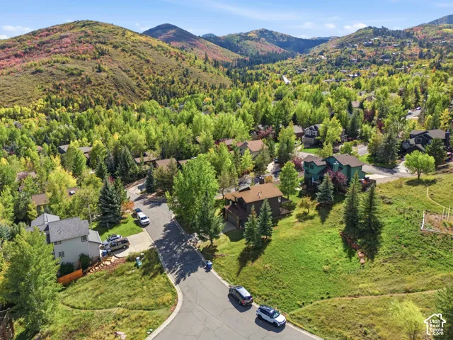 Expansive mountain scenery with diverse tree coverage, a cul-de-sac street, and a residential community