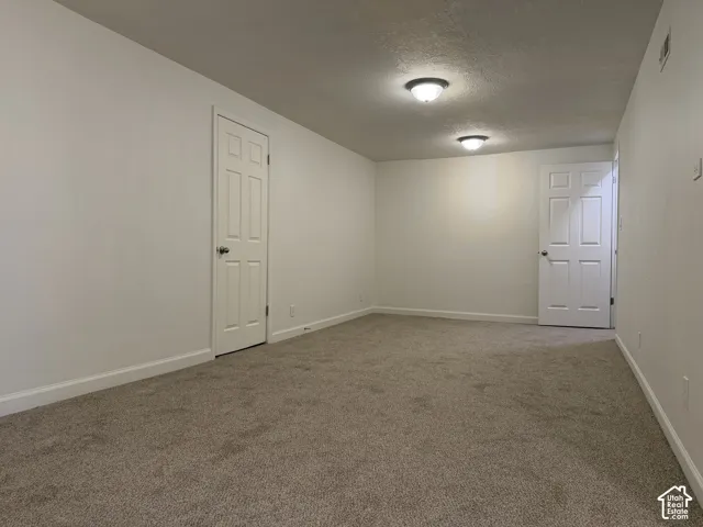 Carpeted flooring, white walls, two flush-mount ceiling lights, and two paneled doors