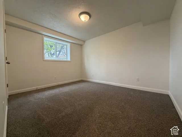 Carpeted room with a single window, white trim, and neutral wall paint