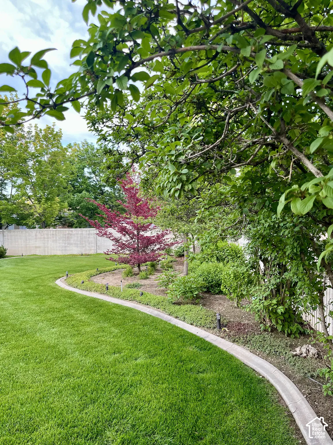 Backyard Landscaping