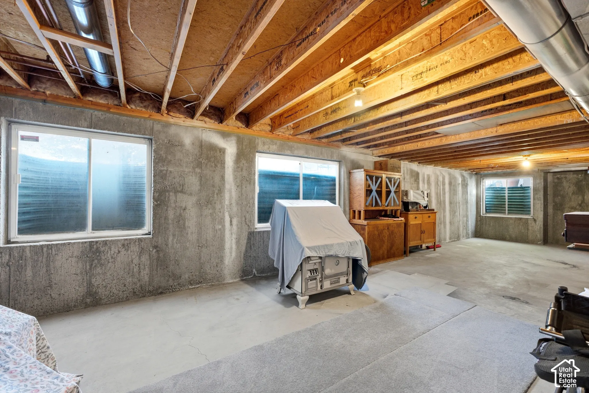 Unfinished Basement