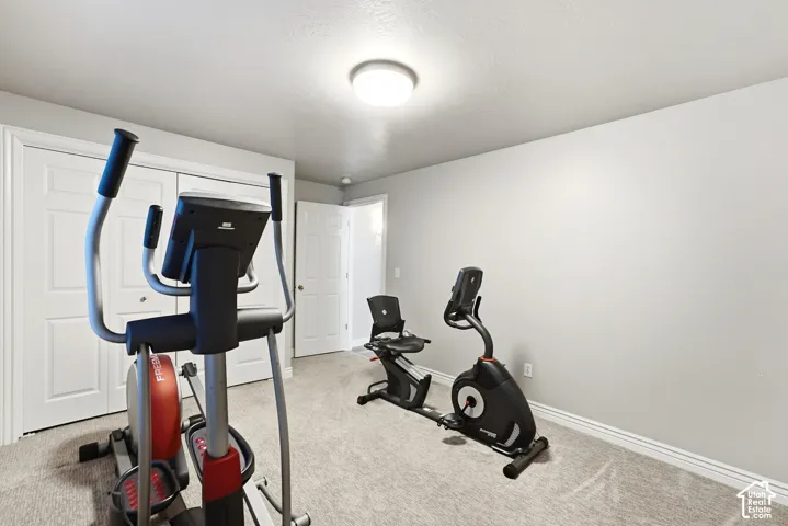Bedroom / Home Gym
