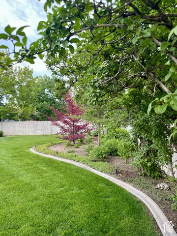 Backyard Landscaping