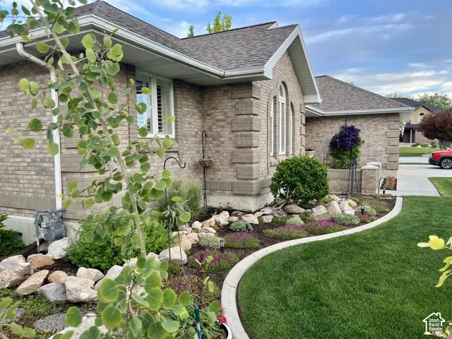 Front Landscaping
