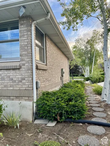 Side Yard