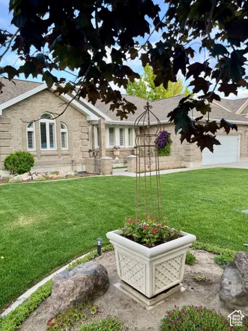 Front Yard