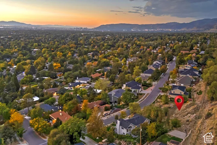 Extensive residential area with mature trees and paved streets