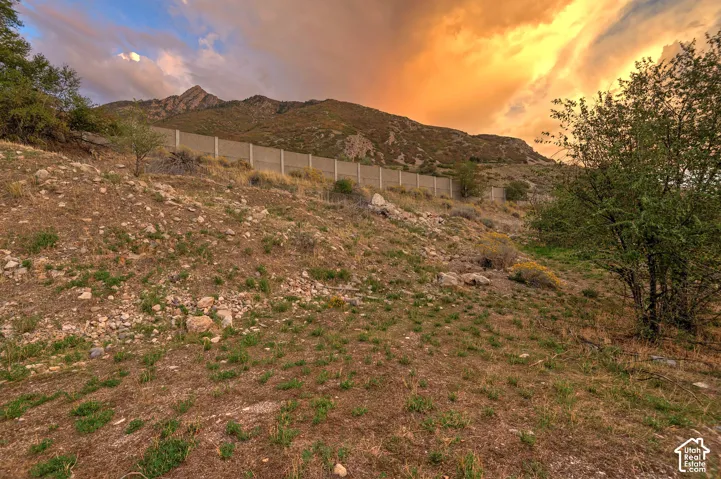 Gradual sloping terrain with natural vegetation and a partial concrete barrier