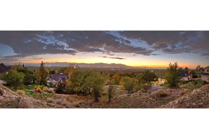 Expansive elevated setting with mature trees and established landscaping