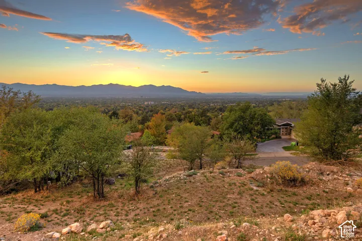Hillside property featuring a driveway, mature trees, and natural landscaping