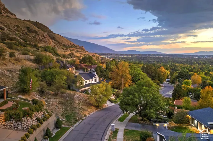 Mountainous terrain, winding roadway, established landscaping, residential architecture, expansive tree canopy