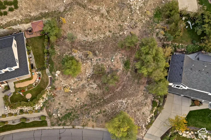 Expansive developable land featuring a natural, uncultivated terrain with scattered mature trees and surrounding established residences