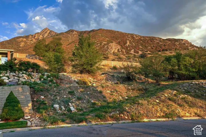 Mountain backdrop, natural rock landscaping, retaining wall, established trees, paved street
