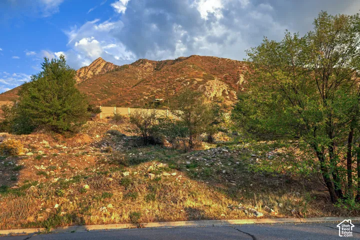 Mountain backdrop with natural terrain