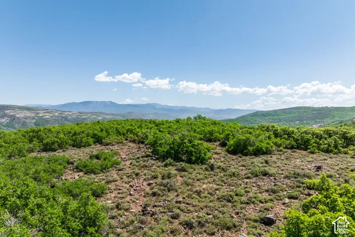 1137 E Headwaters Cove Loop, Heber City, Utah 84032