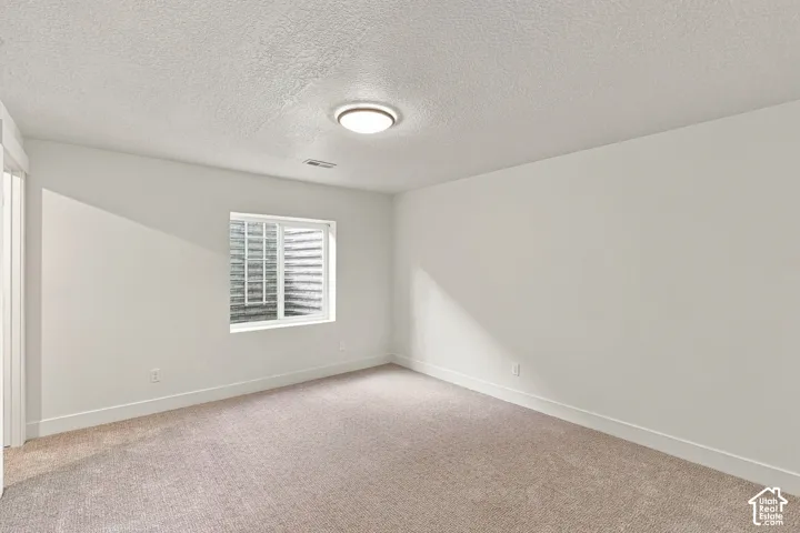 Neutral wall finishes, recessed window, carpet flooring, and ceiling-mounted light fixture