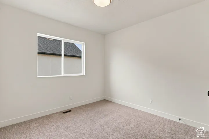 Carpeted flooring, white walls, white window trim, and a ceiling-mounted light fixture