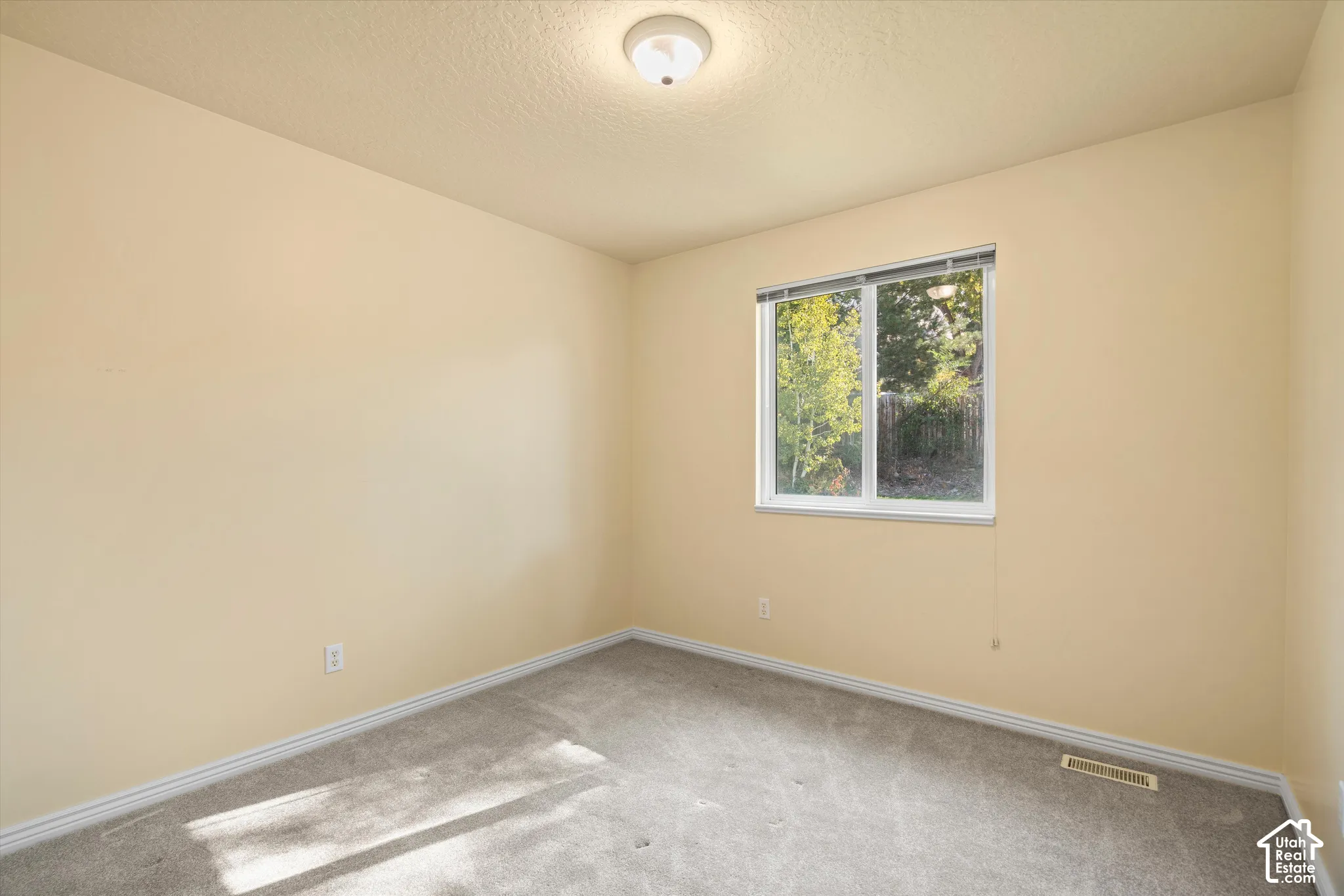 Neutral wall color, carpet flooring, and a single window