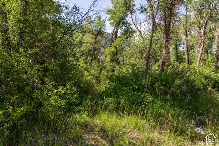 2600 E Weber Rd, Oakley, Utah 84055