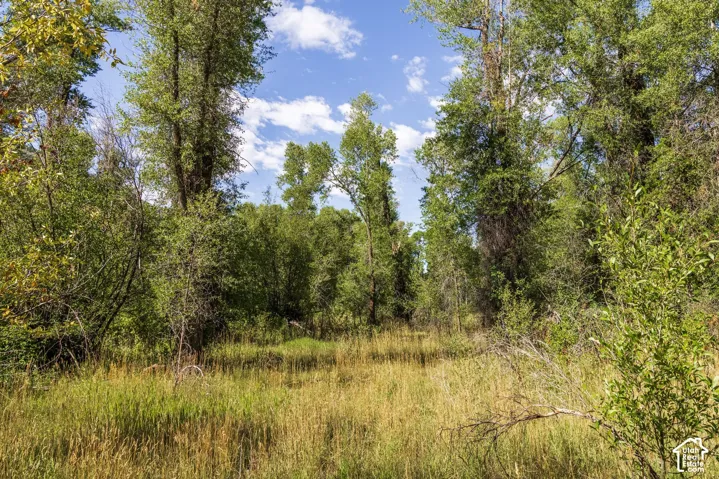 2600 E Weber Rd, Oakley, Utah 84055