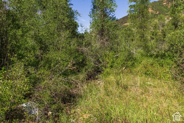 2600 E Weber Rd, Oakley, Utah 84055