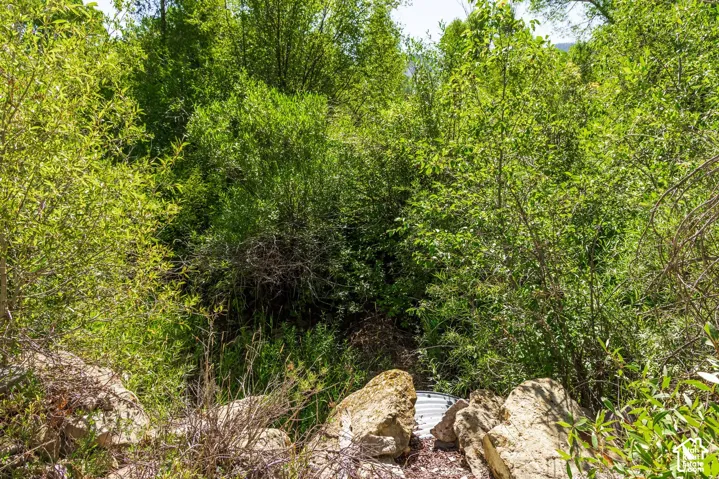 2600 E Weber Rd, Oakley, Utah 84055