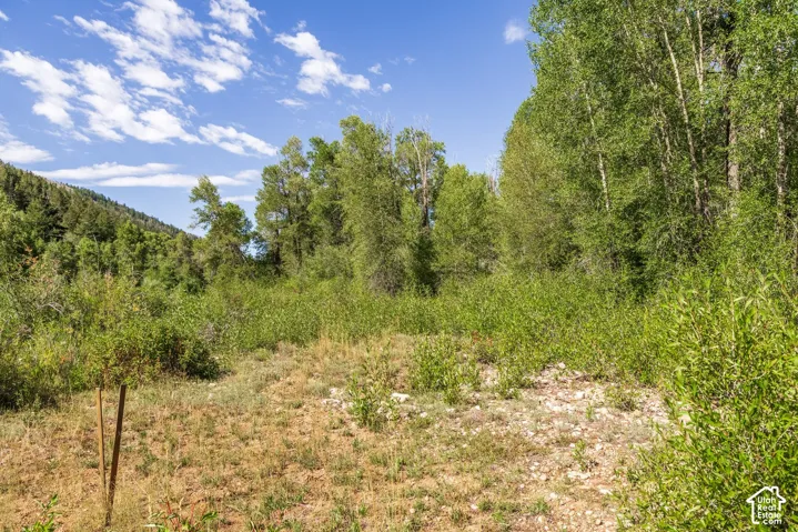 2600 E Weber Rd, Oakley, Utah 84055
